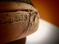 /album/fotogaleria/p2200070-jpg/